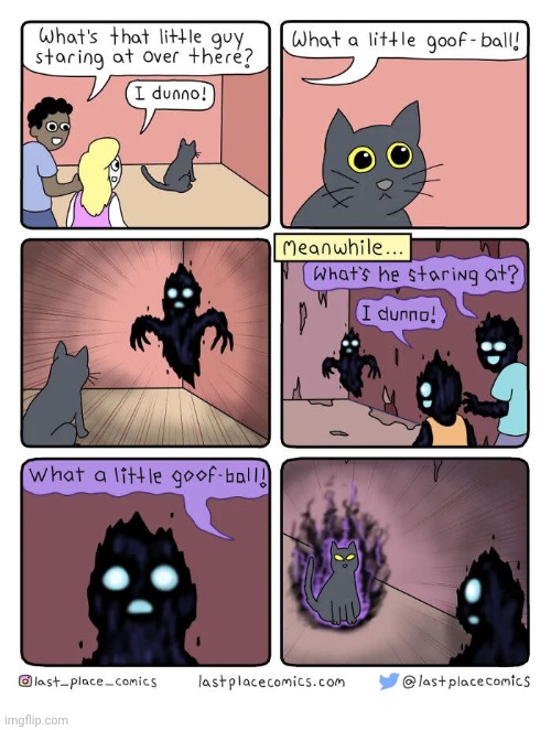 Goofball | image tagged in cats,cat,goofball,animal,comics,comics/cartoons | made w/ Imgflip meme maker