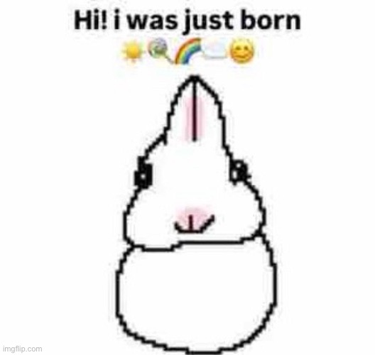 what does ‘going non verbal’ mean | made w/ Imgflip meme maker