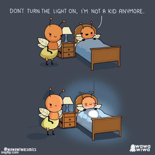image tagged in fireflies,sleeping,lamp,light | made w/ Imgflip meme maker
