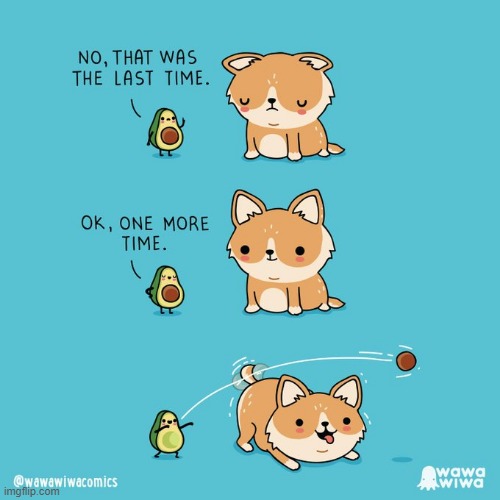 image tagged in avocado,dog,pit,ball,throw,fetch | made w/ Imgflip meme maker
