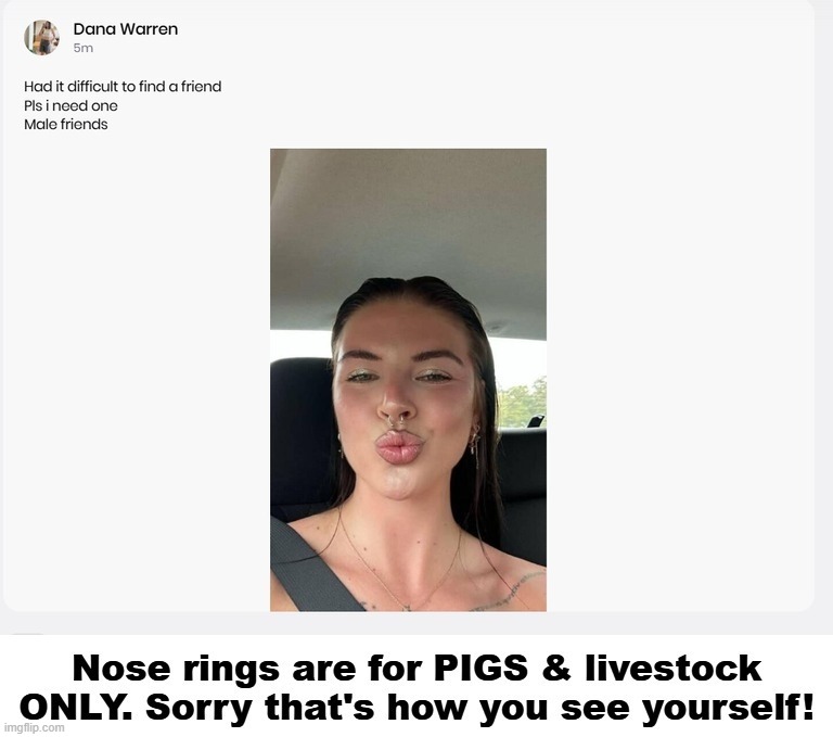 Nose rings are for PIGS & LIVESTOCK ONLY. Sorry that's how you see yourself! | image tagged in septum rings,pigs,livestock,cattle,sheeple,stupid sheep | made w/ Imgflip meme maker