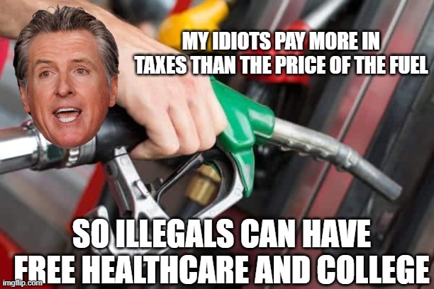 So illegals can have free Healthcare and College My idiots pay more in taxes than the price of the fuel | made w/ Imgflip meme maker