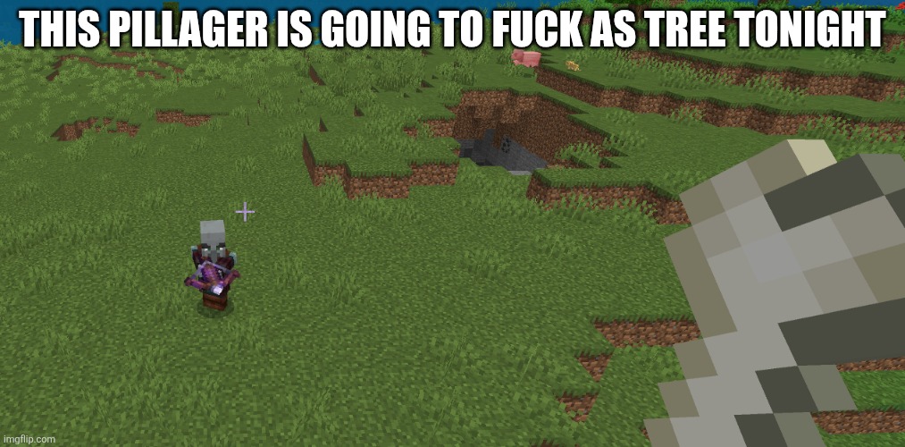 Pillager | This pillager is going to fuck as tree tonight | image tagged in pillager | made w/ Imgflip meme maker