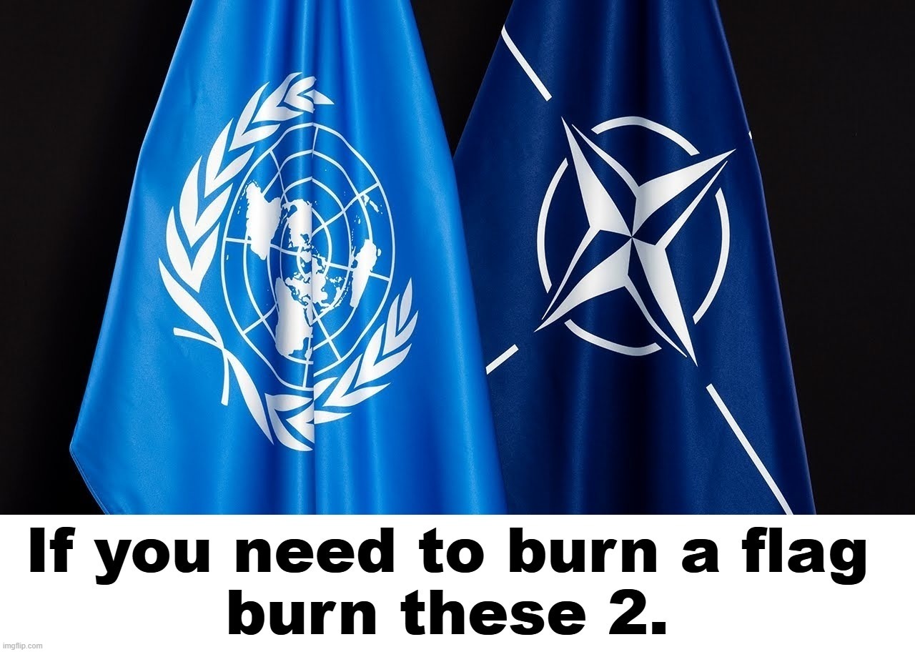 If you need to burn a flag burn these 2. | image tagged in flag burning,united nations,nato,burn baby burn,america first,fuck the world | made w/ Imgflip meme maker
