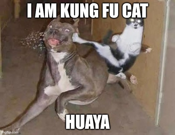 GET REKT | I am Kung Fu cat; huaya | image tagged in get rekt | made w/ Imgflip meme maker