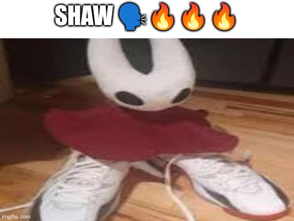 Idk | Shaw 🗣️🔥🔥🔥 | image tagged in hollow knight,silksong | made w/ Imgflip meme maker