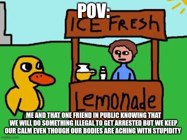 skz | pov:; me and that one friend in public knowing that we will do something illegal to get arrested but we keep our calm even though our bodies are aching with stupidity | image tagged in the duck song | made w/ Imgflip meme maker
