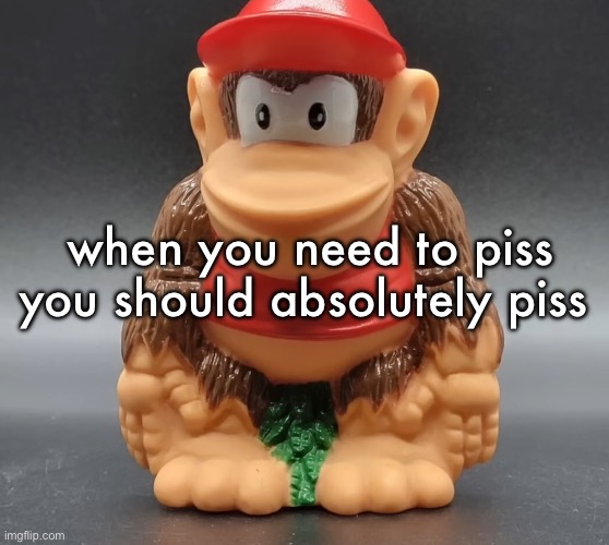 diddy kong | when you need to piss you should absolutely piss | image tagged in diddy kong | made w/ Imgflip meme maker