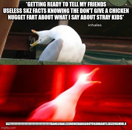 Music | *getting ready to tell my friends useless SKz facts knowing the don't give a chicken nugget fart about what I say about Stray kids*; SKZ!!!!!!!!!!!!!!!!!!!!!!!!!!!!!!!!!!!!!!!!!!!!!!!!BANGCHANLEEKNOwchangbinhyunjinhanfelixseungmini.n | image tagged in inhaling seagull | made w/ Imgflip meme maker