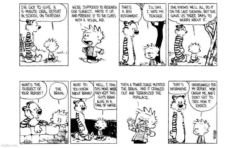 image tagged in calvin and hobbes,comics | made w/ Imgflip meme maker