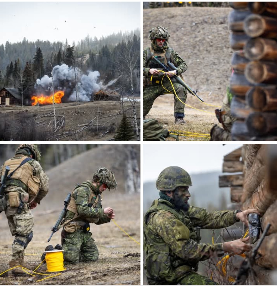 Cdn army Blank Meme Template