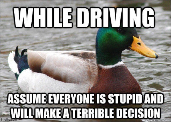 While Driving | image tagged in actual advice mallard,driving,bad drivers,human stupidity,duhhh dumbass,do you are have stupid | made w/ Imgflip meme maker