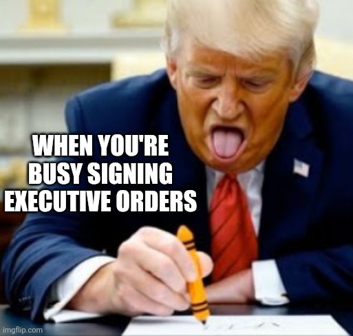 Executive order | When you're busy signing executive orders | image tagged in maga | made w/ Imgflip meme maker