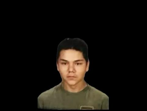 Chase on the case Blank Meme Template