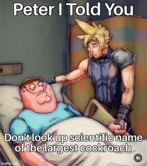 he didn't run fast enough | image tagged in peter griffin running away,peter griffin,running away balloon,anime,cockroach,scientific name of largest cockroach | made w/ Imgflip meme maker
