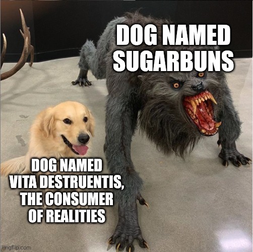 Real | dog named sugarbuns; dog named vita destruentis, the consumer of realities | image tagged in dog vs werewolf | made w/ Imgflip meme maker