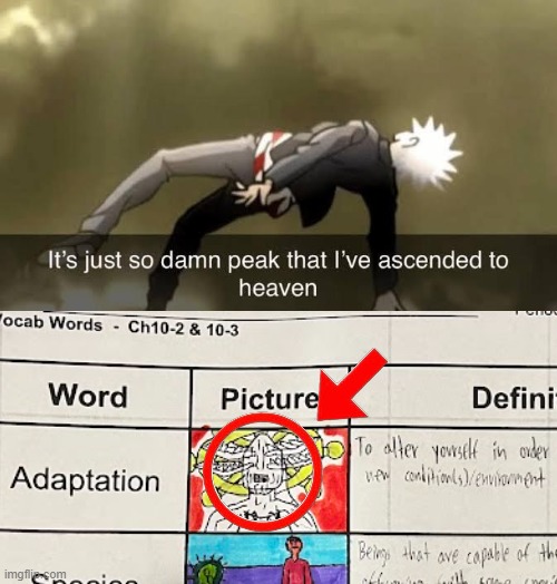 anything but studying ? | image tagged in it's so peak,jjk | made w/ Imgflip meme maker