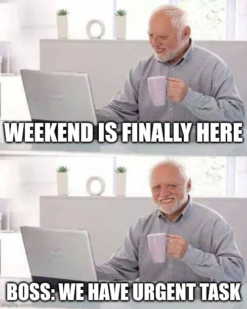 Hide the Pain Harold Meme | Weekend is finally here; Boss: We have urgent Task | image tagged in memes,hide the pain harold | made w/ Imgflip meme maker
