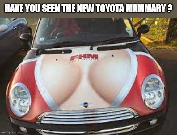 Have you seen the new Toyota Mammary? | Have you seen the new Toyota Mammary ? | image tagged in funny,humor,play on words,cars,toyota | made w/ Imgflip meme maker