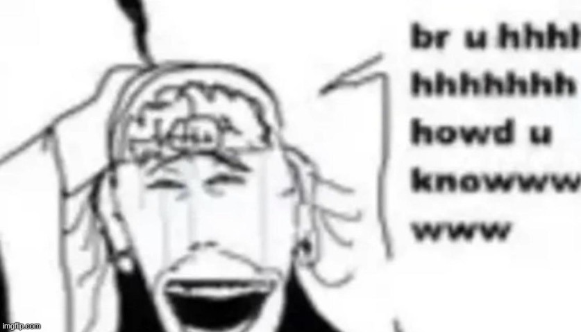 Bruh How'd You Know | image tagged in bruh how'd you know | made w/ Imgflip meme maker