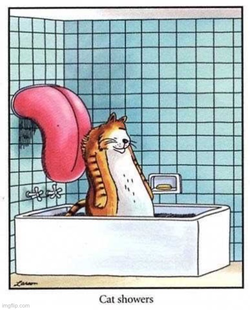 Fancy… | image tagged in the far side,comics,cat,shower,tongue,fancy | made w/ Imgflip meme maker