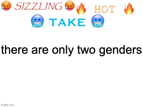 sizzling hot take | there are only two genders | image tagged in sizzling hot take | made w/ Imgflip meme maker