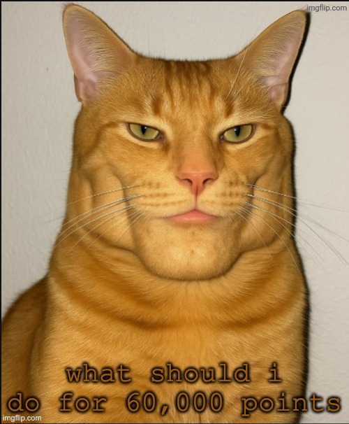 chad cat | what should i do for 60,000 points | image tagged in chad cat | made w/ Imgflip meme maker