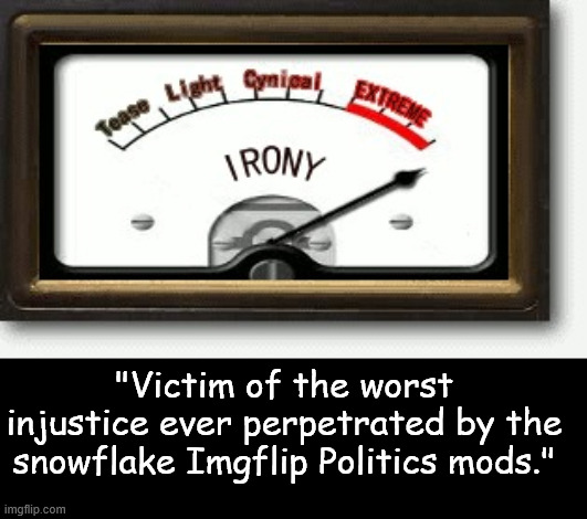 Irony Meter | "Victim of the worst injustice ever perpetrated by the snowflake Imgflip Politics mods." | image tagged in irony meter | made w/ Imgflip meme maker