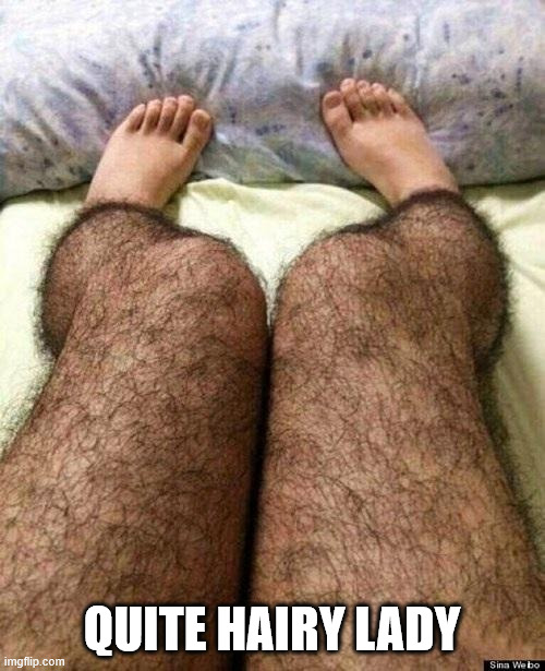Hairy legs | Quite hairy lady | image tagged in hairy legs | made w/ Imgflip meme maker