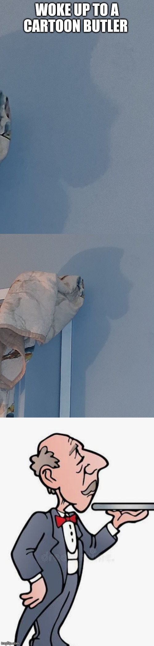 Cartoon shadow | Woke up to a cartoon butler | image tagged in wtf | made w/ Imgflip meme maker