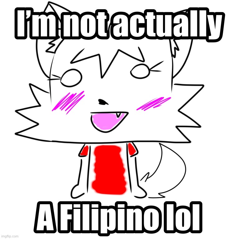 I am not Filipino lol I’m an Arab | image tagged in philippines | made w/ Imgflip meme maker
