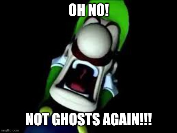 Oh No! Not ghosts again!!! | image tagged in luigi screaming | made w/ Imgflip meme maker