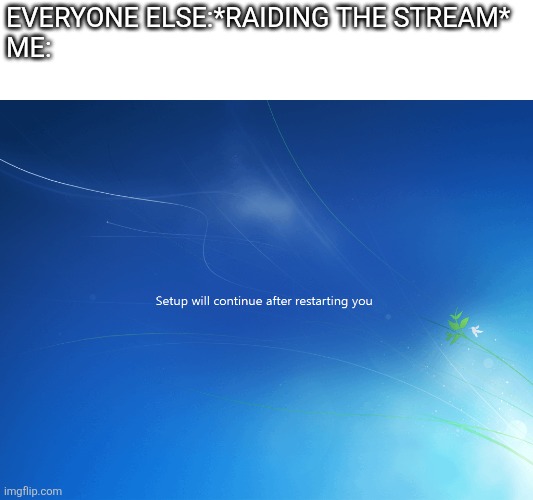 I post random images here duh | Everyone else:*raiding the stream*
Me: | image tagged in setup will contiune after restarring you | made w/ Imgflip meme maker
