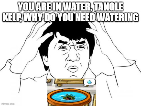 Jackie Chan WTF Meme | you are in water, tangle kelp, why do you need watering | image tagged in memes,jackie chan wtf | made w/ Imgflip meme maker