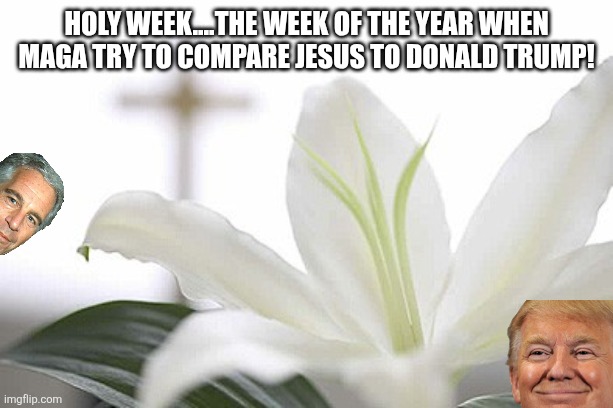 Holy week...maga | Holy week....the week of the year when maga try to compare Jesus to Donald Trump! | image tagged in donald trump,trump,maga,epstein,iran,war | made w/ Imgflip meme maker