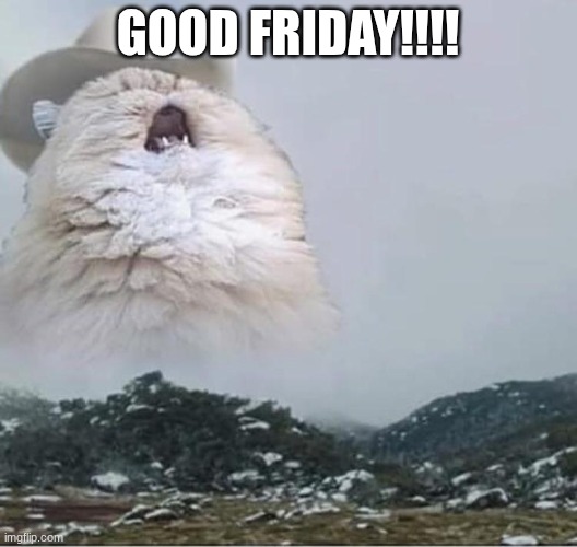 Country Roads Cat | Good Friday!!!! | image tagged in country roads cat | made w/ Imgflip meme maker