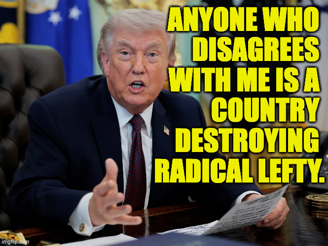 Well here's yer problem. | anyone who 
disagrees 
with me is a 
country 
destroying 
radical lefty. | image tagged in memes,role model,presidential,simple simon | made w/ Imgflip meme maker