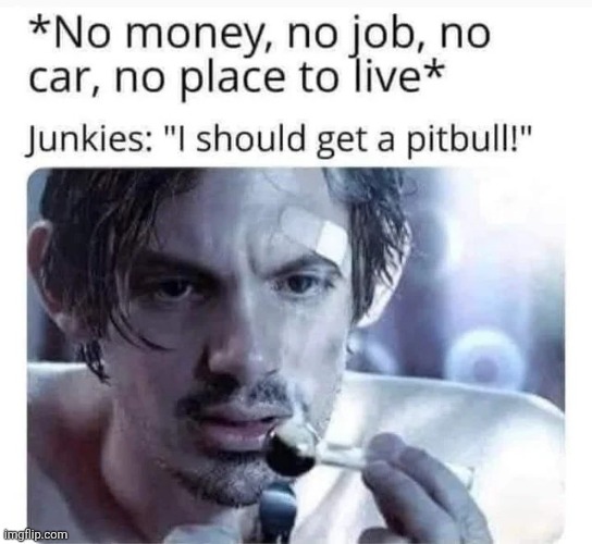 image tagged in msmg | made w/ Imgflip meme maker