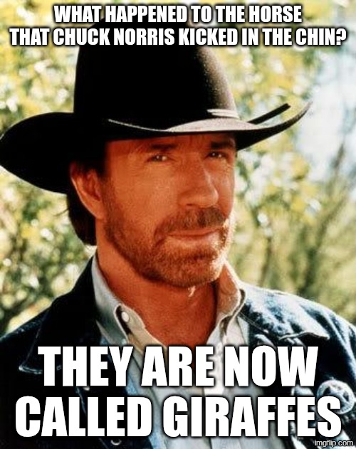 Chuck Norris | what happened to the horse that chuck Norris kicked in the chin? they are now called giraffes | image tagged in memes,chuck norris,remix | made w/ Imgflip meme maker