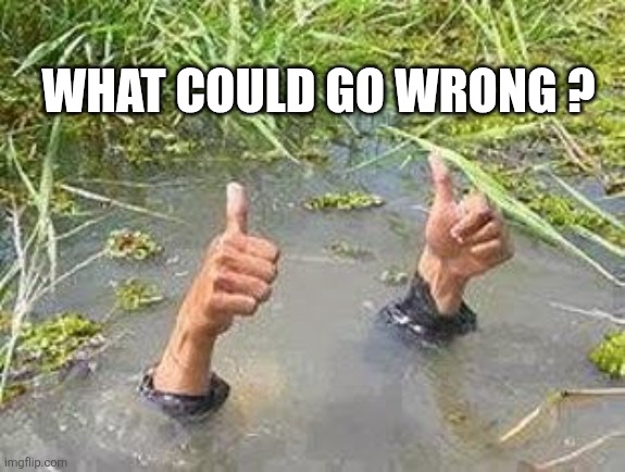FLOODING THUMBS UP | What could go wrong ? | image tagged in flooding thumbs up | made w/ Imgflip meme maker