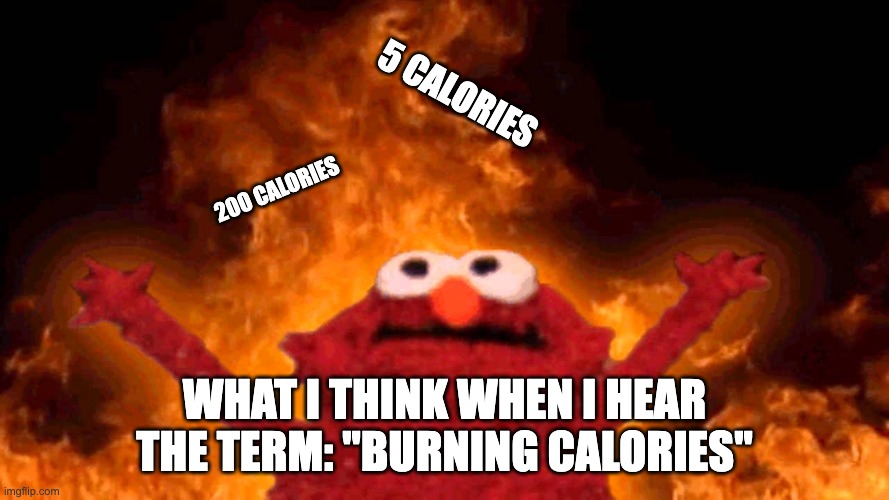 Does anybody else think of this? I do. | 5 calories; 200 calories; what i think when i hear the term: "burning Calories" | image tagged in elmo fire,calories,food,memes,funny | made w/ Imgflip meme maker