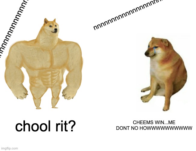 Buff Doge vs. Cheems Meme | nnnnnnnnnnnnnnnnnnn; nnnnnnnnnnnnnnnnnnnnnnn; chool rit? CHEEMS WIN...ME DONT NO HOWWWWWWWWWW | image tagged in memes,buff doge vs cheems | made w/ Imgflip meme maker