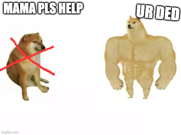 buff doge vs cheems reversed | ur ded; mama pls help | image tagged in buff doge vs cheems reversed | made w/ Imgflip meme maker