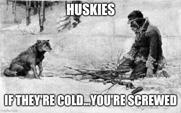 Huskies; If they're cold...you're screwed | made w/ Imgflip meme maker