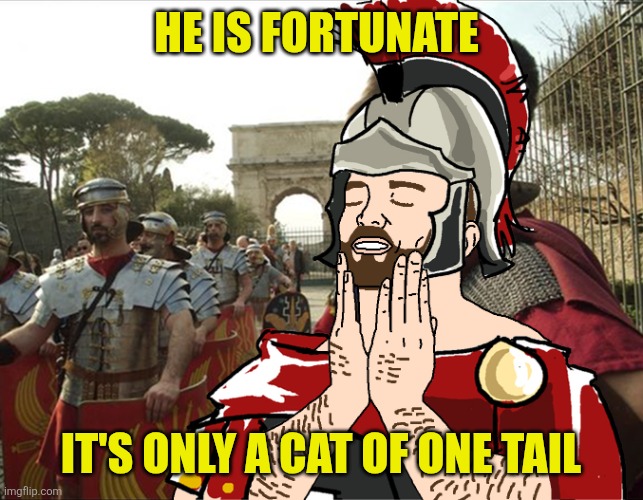 roman soldier | He is fortunate It's only a cat of one tail | image tagged in roman soldier | made w/ Imgflip meme maker