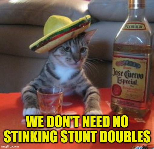 Mexican Cat | We don't need no stinking stunt doubles | image tagged in mexican cat | made w/ Imgflip meme maker