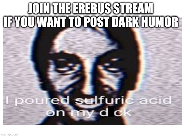 Join the stream named erebus | Join the Erebus stream if you want to post dark humor | image tagged in dude have a bagel,dont thank me just have a good day | made w/ Imgflip meme maker