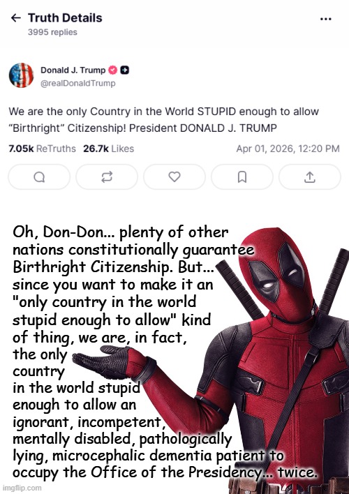 Once again, the Orange Menace demonstrates his ignorance, unfitness for office to the world... that or he's just lying again. | Oh, Don-Don... plenty of other
nations constitutionally guarantee
Birthright Citizenship. But... 
since you want to make it an
"only country in the world
stupid enough to allow" kind
of thing, we are, in fact, the only
country
in the world stupid
enough to allow an
ignorant, incompetent,
mentally disabled, pathologically
lying, microcephalic dementia patient to
occupy the Office of the Presidency... twice. | image tagged in trump unfit unqualified dangerous,ignorant,fool | made w/ Imgflip meme maker