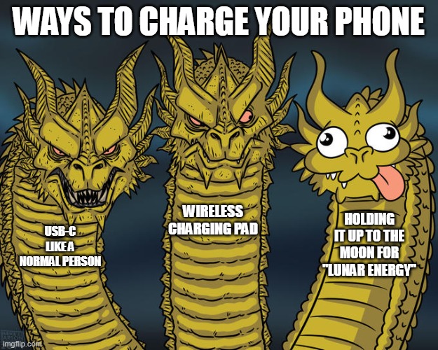fr | WAYS TO CHARGE YOUR PHONE; WIRELESS CHARGING PAD; HOLDING IT UP TO THE MOON FOR "LUNAR ENERGY"; USB-C LIKE A NORMAL PERSON | image tagged in three-headed dragon | made w/ Imgflip meme maker