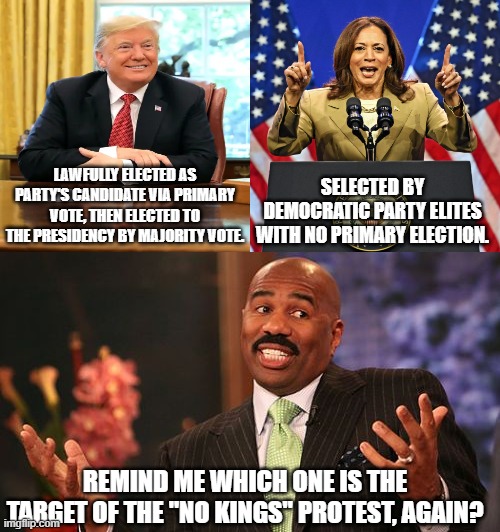 Nothing says "I'm a king" like a guy who can't even build a ballroom with his own money | Selected by Democratic Party elites with no primary election. Lawfully elected as party's candidate via primary vote, then elected to the presidency by majority vote. Remind me which one is the target of the "No Kings" protest, again? | image tagged in steve harvey,political meme,politicstoo,leftist hypocrisy,no kings,liberal hypocrisy | made w/ Imgflip meme maker